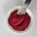 Hight Quality Elderberry Fruit Powder
